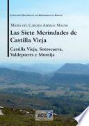 Las siete Merindades de Castilla Vieja - Tomo I
