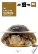 Las tortugas acuáticas