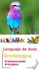 Lenguaje de Aves