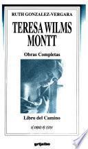 Libro del camino