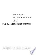 Libro homenaje al Prof. Dr. Angel Jorge Echeverri