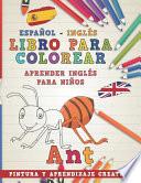 Libro Para Colorear Español - Inglés I Aprender Inglés Para Niños I Pintura Y Aprendizaje Creativo