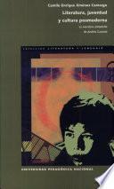 Literatura, juventud y cultura posmoderna
