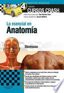 Lo esencial en Anatomía + Studentconsult en español