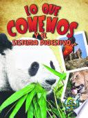Lo que comemos y el sistema digestivo