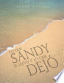 Lo Que Sandy Se Llevó Y Lo Que Dejó