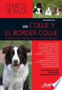 Los collie y el border collie