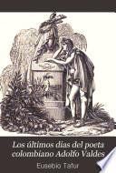 Los últimos dias del poeta colombiano Adolfo Valdes