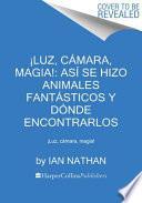 ¡Luz, cámara, magia!: así se hizo Animales fantásticos y dónde encontrarlos