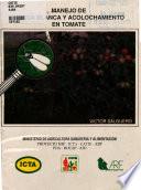Manejo De Mosca Blanca Y Acolochamiento En Tomate