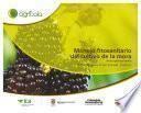 Manejo fitosanitario del cultivo de la mora (Medidas para la temporada invernal)