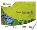 Manejo fitosanitario del cultivo de la vid (vitis vinifera y V.labrusca) medidas para la temporada invernal