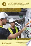 Mantenimiento de redes eléctricas aéreas de baja tensión. ELEE0109