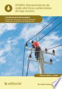 Mantenimiento de redes eléctricas subterráneas de baja tensión. ELEE0109