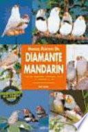 Manual práctico del diamante mandarín