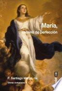 María, camino de perfección
