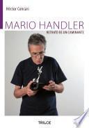 Mario Handler