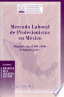 Mercado laboral de profesionistas en México: Diagnóstico, 1990-2000