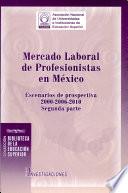 Mercado laboral de profesionistas en México: Escenarios de prospectiva 2000-2006-2010