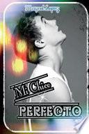 Mi Chico Perfecto