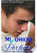Mi Chico Perfecto