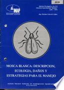 Mosca blanca