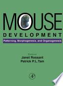 Mouse Development
