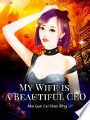 My Wife is a Beautiful CEO