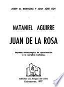 Nataniel Aguirre, Juan de la Rosa