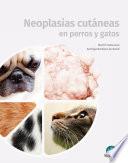 Neoplasias cutáneas en perros y gatos