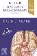 Netter. Flashcards de Neurociencia