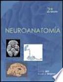 Neuroanatomía funcional