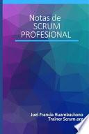 Notas de Scrum Profesional