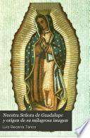 Nuestra Señora de Guadalupe y orígen de su milagrosa imagen