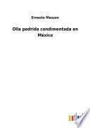Olla podrida condimentada en México