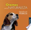 Oremos con la Naturaleza Ispirados en los Perros