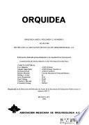 Orquídea