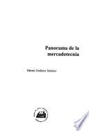 Panorama de la mercadotecnia