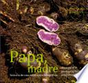 Papa, Madre