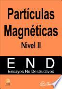 Partículas Magnéticas. Nivel II