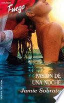 Pasion De Una Noche