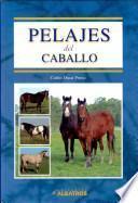 Pelajes del caballo