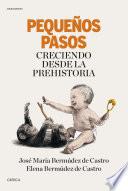 Pequeños pasos