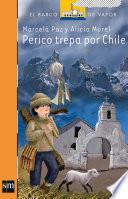 Perico trepa por Chile