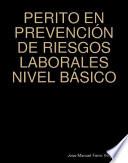 PERITO EN PREVENCIÓN DE RIESGOS LABORALES NIVEL BÁSICO