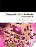 Perito Judicial en Auditoria Informática