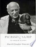 Picasso & Lump