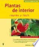 Plantas de interior