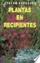 Plantas en recipientes