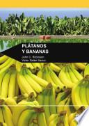 Plátanos y bananas